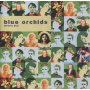 Blue Orchids - Mystic Bud