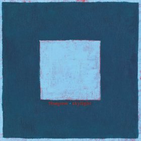 Pinegrove - Skylight (Clear) [Vinyl, 2LP]