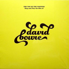 Various - Top Of The Poppers Sing And Play David Bowie [Vinyl, LP]