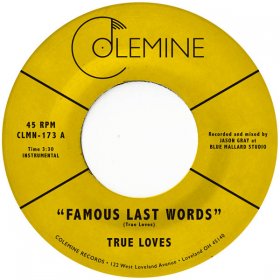 True Loves - Famous Last Words [Vinyl, 7"]