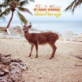 Fruit Bats - Gold Past Life [CD]