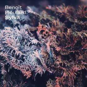 Benoit Pioulard - Sylva [CD]