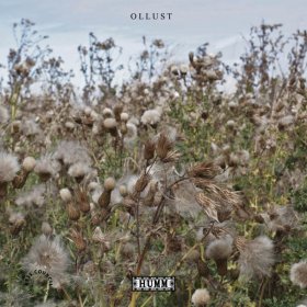 Broads & Milly Hirst - Ollust [CD]