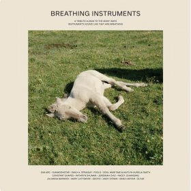 Various - Breathing Instruments [Vinyl, 2LP]