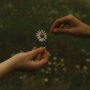 Goldmund - The Time It Takes (Transparent Orange)