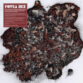 Fovea Hex - The Salt Garden (Landscaped) [Vinyl, LP + CD]