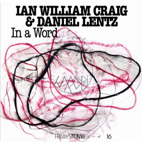 Ian Craig William & Daniel Lentz - In A Word [Vinyl, LP]