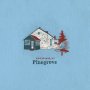 Pinegrove - Amperland, NY