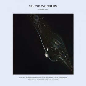 Various - Sound Wonders [Vinyl, LP]