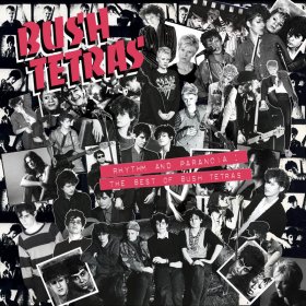 Bush Tetras - Rhythm And Paranoia: The Best Of... [Vinyl, 3LP]