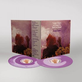 Fruit Bats - Sometimes A Cloud Is Just A Cloud (Pink/Violet) [Vinyl, 2LP]