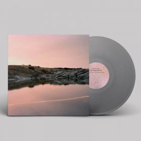 Cassandra Jenkins - (An Overview On) An Overview On Phenomenal Nature (Grey [Vinyl, LP]