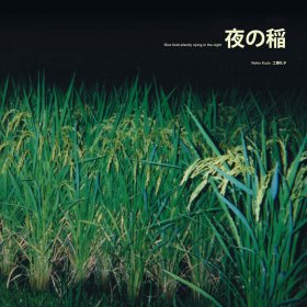 Reiko Kudo - Rice Field Silently Riping In The Night [Vinyl, LP]