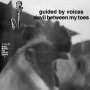 Guided By Voices - Devil Between My Toes (Clear)