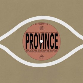 Bartees Strange & Ohmme & Eric Slick & Anjimile - Province [Vinyl, 7"]