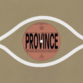 Bartees Strange & Ohmme & Eric Slick & Anjimile - Province [Vinyl, 7"]