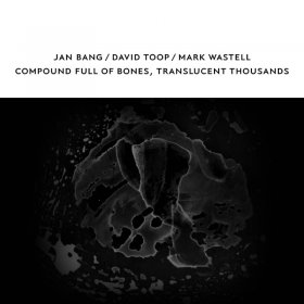 David Toop & Jan Bang & Mark Wastell - Compound Full Of Bones, Translucent Thousands [CD]