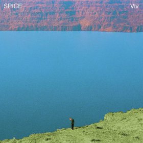 Spice - Viv [Vinyl, LP]