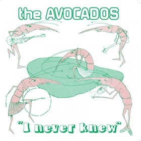 Avocados - I Never Know (Green) [Vinyl, 7"]