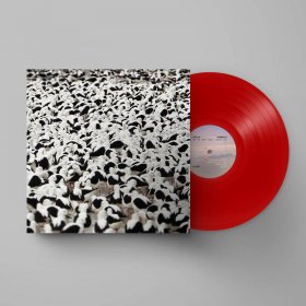 Stella Donnelly - Flood (Opaque Red) [Vinyl, LP]