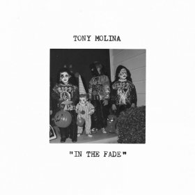 Tony Molina - In The Fade [Vinyl, LP]