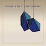 Steve Pilgrim - Beatiful Blue (transparent Blue)