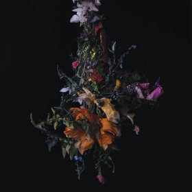 Big Brave - Nature Morte [CD]