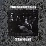 Sea Urchins - Stardust