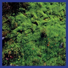 Matthias Puech - Mt. Hadamard National Park [Vinyl, LP]