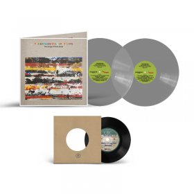 Various - The Endless...: The Songs Of Nick Drake (Grey + 7") [Vinyl, 2LP]