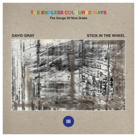 David Gray / Stick In The Wheel - The Endless Coloured Ways: The Songs Of Nick Drake III [Vinyl, 7"]