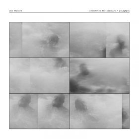 Jan Jelinek - Seascape - Polyptych [Vinyl, LP]