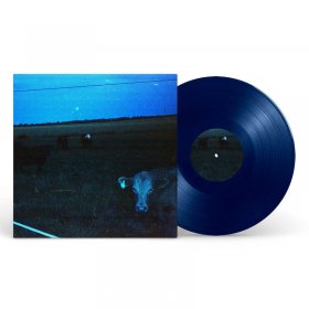 Waveform - Antarctica (Dark Blue) [Vinyl, LP]