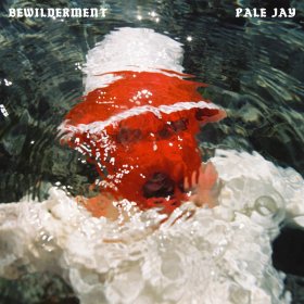 Pale Jay - Bewilderment [CD]