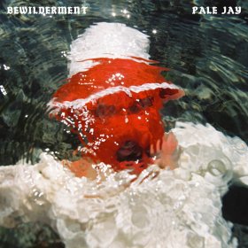 Pale Jay - Bewilderment [Vinyl, LP]