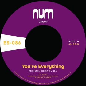 Michael Dixon & J.o.y. - You're Everything [Vinyl, 7"]