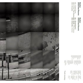 Radian - Distorted Rooms [Vinyl, LP]