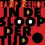 Bazip Zeehok - In De Sloop Der Tijd