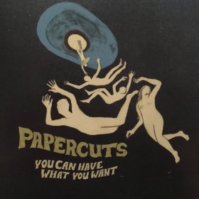 Papercuts - You Can Have What You Want (Glacial Blue) [Vinyl, LP]