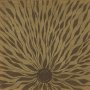 Willem Nyland - Piano Studies 337