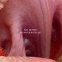 Jane Sheldon - Flowermuscle