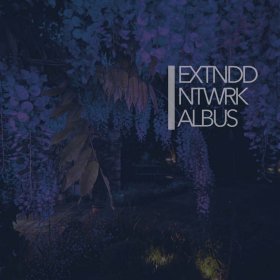 Extnddntwrk - Albus [Vinyl, 2LP]