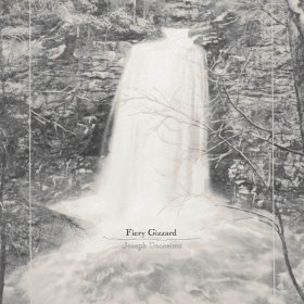 Joseph Decosimo - Fiery Gizzard [CD]