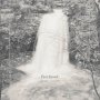 Joseph Decosimo - Fiery Gizzard