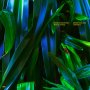 Anushka Chkheidze & Robert Lippok - Uncontrollable Thoughts (Yellow)