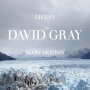 David Gray - Life In Slow Motion (20th Ann. Edition)