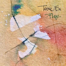 Terrie Ex - Flaps [Vinyl, LP]
