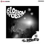 Blossom Toes - Live On Radio & TV