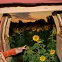Kevin Morby - Little Wide Open