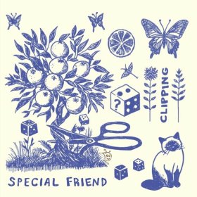 Special Friend - Clipping [Vinyl, LP]